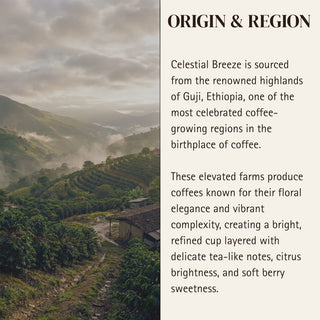 Aquarius — Celestial Breeze