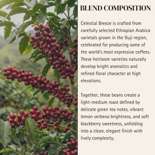 Aquarius — Celestial Breeze