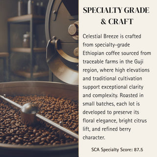 Aquarius — Celestial Breeze