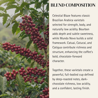 Aries — Celestial Blaze