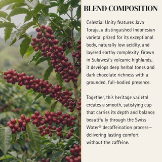 Decaf — Celestial Unity