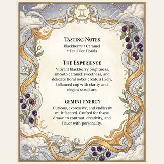 Air Sign Angels Bundle