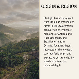 Gemini — Starlight Fusion