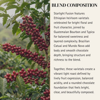 Gemini — Starlight Fusion