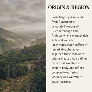 Leo — Solar Majesty