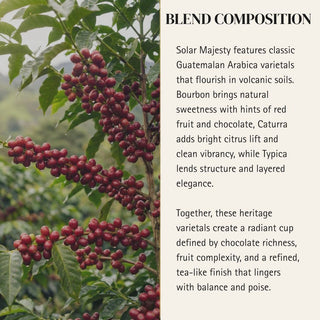 Leo — Solar Majesty