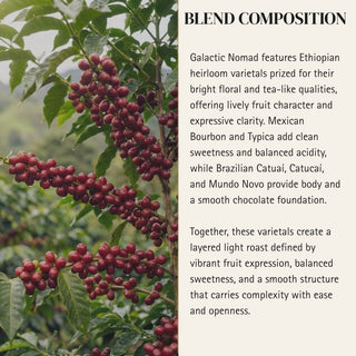 Sagittarius — Galactic Nomad