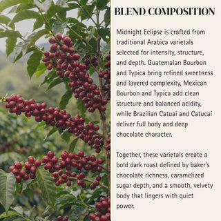 Scorpio — Midnight Eclipse