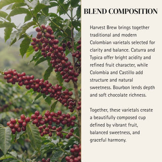 Virgo — Harvest Brew